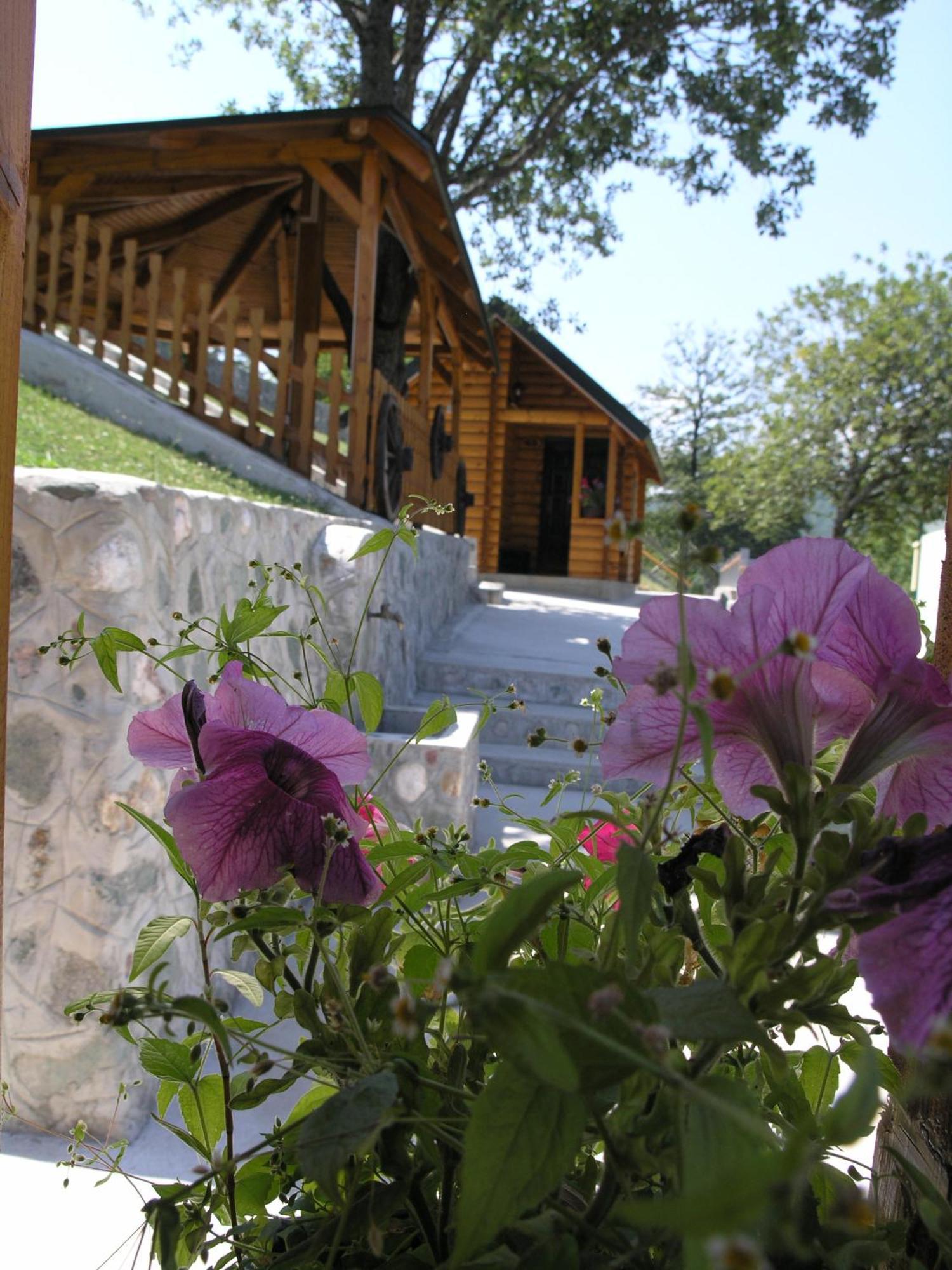 Motel Krstac Mojkovac Rom bilde